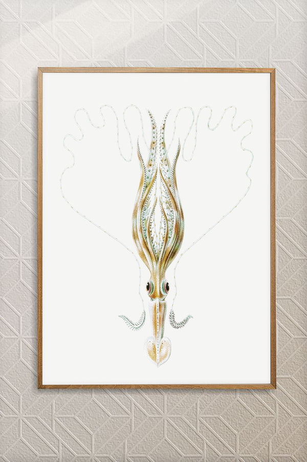 Vintage Wall Art - Squid Illustration Print III